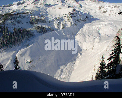 Il ghiacciaio Nisqually, situato nel Parco Nazionale del Monte Rainier, è un ghiacciaio dinamico situato in un paesaggio invernale panoramico. Il Nisqually Vista offre ampie vedute del ghiacciaio e delle cime montane circostanti. Fotografata da Kevin Bacher, questa immagine cattura la bellezza invernale del Monte Rainier e l'importanza del ghiacciaio nel parco. Foto Stock