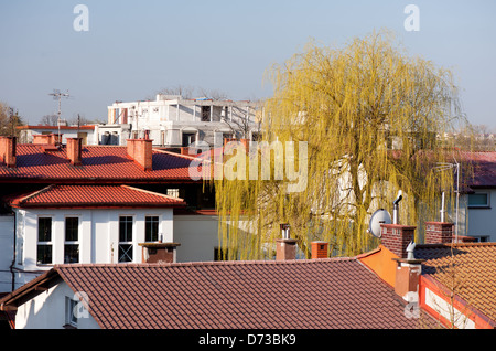 La costruzione di tetti di sviluppo e Willow Tree Foto Stock