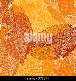 Asciugare le foglie di autunno modello Foto Stock