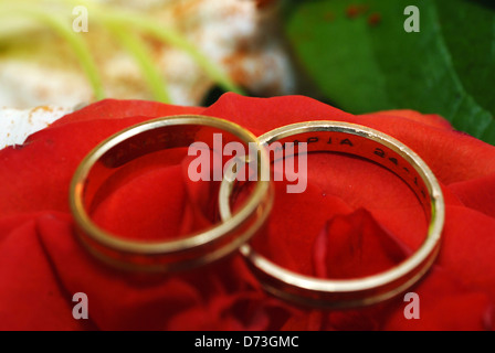 Gli anelli di nozze giacente su una rosa rossa Foto Stock