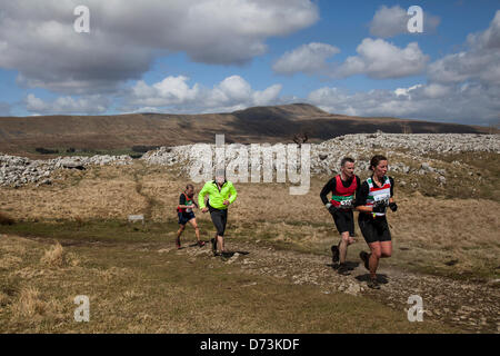 Yorkshire Tre Cime sfida Sabato 27 Aprile, 2013. La cinquantanovesima annuale di 3 picchi gara con 1000 cadde corridori a partire da i campi da gioco, Horton in Ribblesdale, Nr, Settle, UK. Pen-y-Ghent è il primo picco di essere salito poi Whernside ed infine il picco di Ingleborough. La gara temporizzato utilizzando la SPORTident elettronico sistema di punzonatura Foto Stock