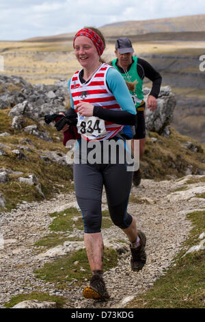 Yorkshire Tre Cime sfida Sabato 27 Aprile, 2013. Runner 834 Helen Buchan, 35 alla 59a annuale di 3 picchi gara con 1000 cadde corridori a partire da i campi da gioco, Horton in Ribblesdale, Nr, Settle, UK. Pen-y-Ghent è il primo picco di essere salito poi Whernside ed infine il picco di Ingleborough. La gara temporizzato utilizzando la SPORTident elettronico sistema di punzonatura Foto Stock