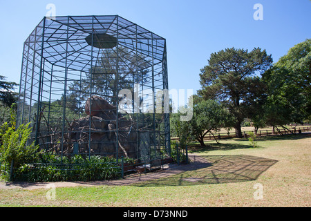 Scene di Joburg Zoo in Gauteng, Sud Africa. Madagascar ring tailed lemuri enclosure Foto Stock