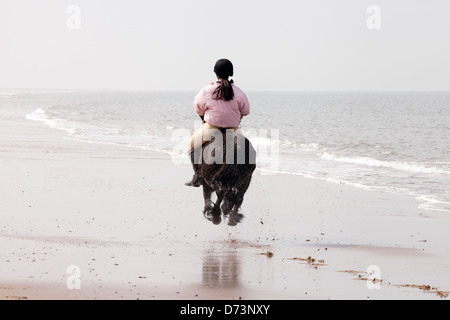 Una giovane donna sul suo cavallo al galoppo lontano in distanza, Holkham Beach, NORFOLK REGNO UNITO Foto Stock