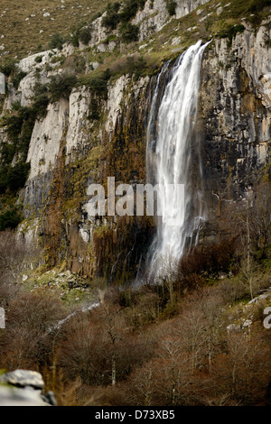 Nascita del fiume motivo, Cantabria, SPAGNA Foto Stock