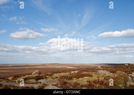 Vista bassa della brughiera del Derbyshire, Inghilterra, UK Peak District, da Stanage Edge Foto Stock