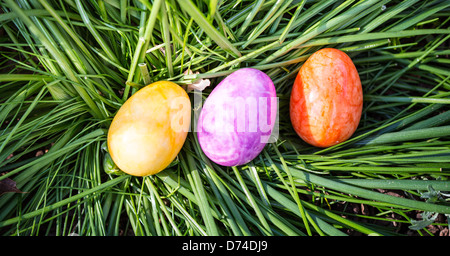 Alabastro Uova di Pasqua nascosta in una patch di erba per i bambini a trovare. Foto Stock