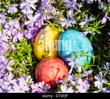 Alabastro uova di Pasqua nascosta in una patch di Phlox selvatici per i bambini a trovare. Foto Stock