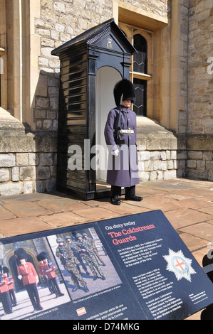 Una guardia Coldstream di sentinella. Foto Stock