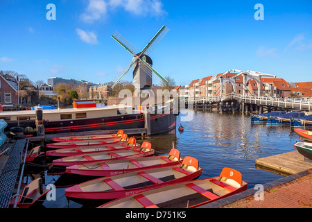 Galgewater, windmill De mettere, Leiden, Olanda meridionale, Paesi Bassi Foto Stock