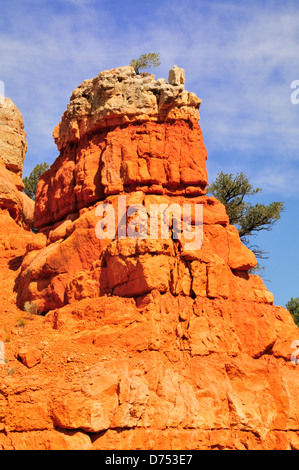 Sedimentarie strati di pietra arenaria di colore variabile sono impilati gli uni sugli altri in rosso Canyon. Southern Utah Foto Stock