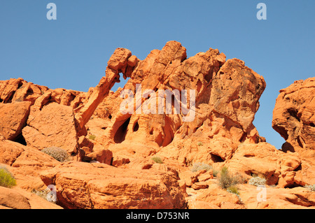 Elephant Rock, la Valle del Fuoco parco dello stato Foto Stock