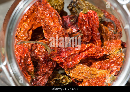 Essiccato Bhut Jolokia (aka Naga Jolokia, Naga Morich, etc) peperoncini rossi in un vaso. Regno Unito, 2013. Foto Stock