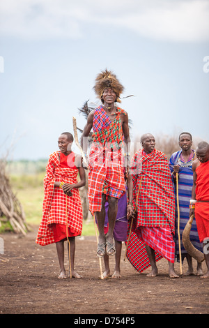 Gli uomini Maasai saltano energicamente nell'aria durante la tradizionale danza di salto Adumu, una vibrante dimostrazione di forza, resistenza e orgoglio. Foto Stock