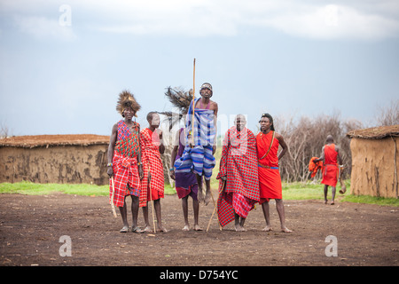 Gli uomini Maasai saltano energicamente nell'aria durante la tradizionale danza di salto Adumu, una vibrante dimostrazione di forza, resistenza e orgoglio. Foto Stock