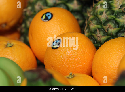 Berlino, Germania, Fairtrade Citrusfruechte a Fruit Logistica Foto Stock