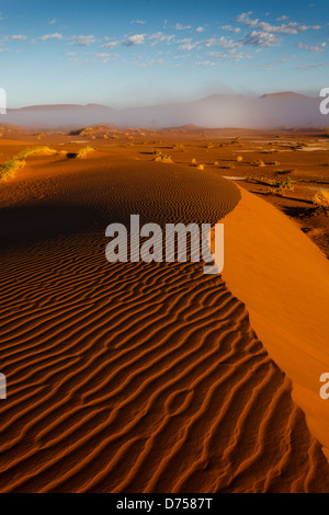 Cima della duna namibiana attraverso il deserto nebbioso fino alla cresta delle dune Foto Stock