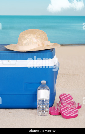 Lo scambiatore di calore donna hat e sandali sulla spiaggia Foto Stock