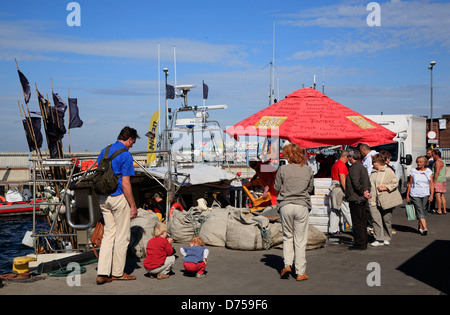 Hel ( Hela) Penisola, villaggio hel, la vendita di pesce da un peschereccio nel porto, Polonia Foto Stock