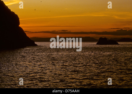 Mare di Cortes,Oct 1994 Digitale Subacquea conversioni di scorrimento,un divario che separa gli Stati Uniti penisola della Baja California dal Messico Foto Stock