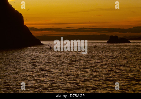 Mare di Cortes,Oct 1994 Digitale Subacquea conversioni di scorrimento,un divario che separa gli Stati Uniti penisola della Baja California dal Messico Foto Stock