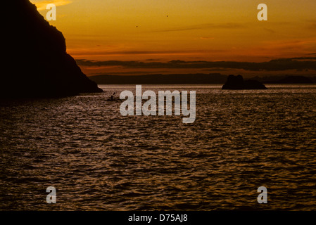 Mare di Cortes,Oct 1994 Digitale Subacquea conversioni di scorrimento,un divario che separa gli Stati Uniti penisola della Baja California dal Messico Foto Stock