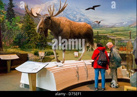 I turisti che visitano il Parco Nazionale di Denali Centro Visitatori, Parco Nazionale di Denali, Alaska, STATI UNITI D'AMERICA Foto Stock