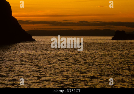 Mare di Cortes,Oct 1994 Digitale Subacquea conversioni di scorrimento,un divario che separa gli Stati Uniti penisola della Baja California dal Messico Foto Stock