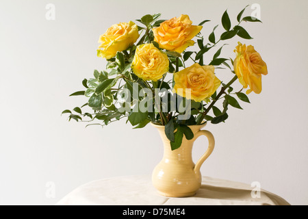 Giallo Rose in vaso, fiore ancora in vita. Foto Stock