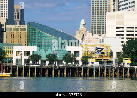 Elk283-2088 Louisiana, New Orleans, Aquarium Audubon delle Americhe Foto Stock