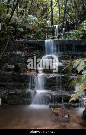Leura Cascades cascata, Jamison Valley, Blue Mountains, NSW, Australia Foto Stock