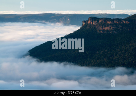 Jamison Valley, vicino a Katoomba, NSW, Australia Foto Stock