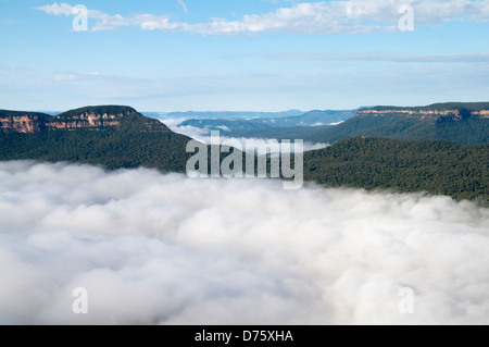 Jamison Valley, vicino a Katoomba, NSW, Australia Foto Stock