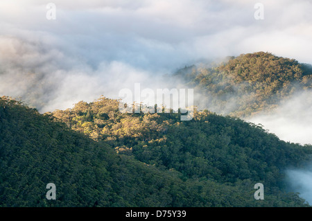 Jamison Valley, vicino a Katoomba, NSW, Australia Foto Stock