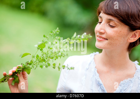 Donna picking melissa dal giardino. Foto Stock