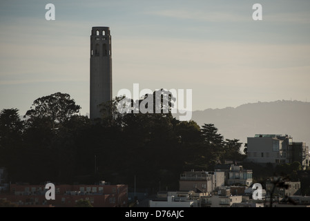 Torre Coit sulla sommità del colle del telegrafo in San Francisco, California. La torre fu costruita nel 1933 dai fondi del lascito testamentario di Lillie Coit Hitchcocl. Foto Stock