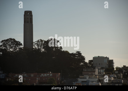 Torre Coit sulla sommità del colle del telegrafo in San Francisco, California. La torre fu costruita nel 1933 dai fondi del lascito testamentario di Lillie Coit Hitchcocl. Foto Stock