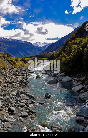 Rob Roy Glacier trek, Isola del Sud, Nuova Zelanda Foto Stock