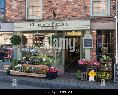 LINCOLN, Regno Unito - 20 APRILE 2013: Negozio di fiori grazioso Foto Stock