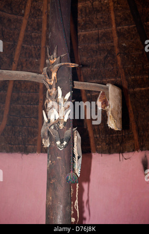 Utensili di Xhosa Sangoma uomo medicina, costa selvaggia, Capo orientale, Sud Africa Foto Stock