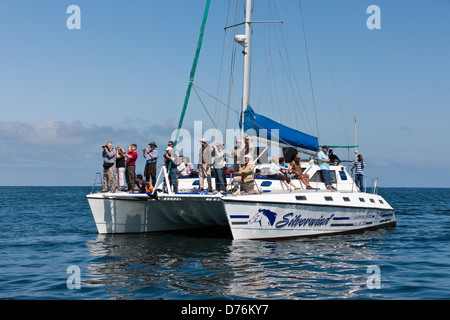 I turisti durante il Dolphin watching tour, Walvis Bay, Namibia Foto Stock