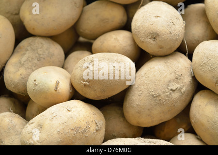Patate organico nel carrello Foto Stock