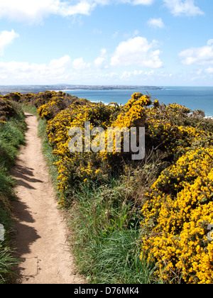 South West Coast Path, Watergate Bay, Cornwall, Regno Unito 2013 Foto Stock