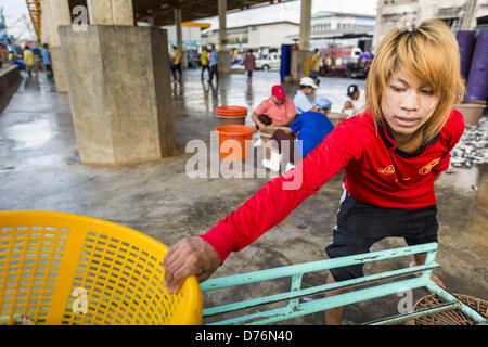 Aprile 30, 2013 - Mahachai, Samut Sakhon, Tailandia - un crewman birmano scarica un Thai peschereccio in Mahachai, Samut Sakhon provincia, Thailandia. Il Thai industria della pesca è pesantemente affidamento sulle autorità birmane e migranti cambogiano. I migranti birmani equipaggio molte delle barche da pesca che navigano fuori Samut Sakhon e personale di molti dei pesci di impianti di trasformazione in Samut Sakhon, circa 45 miglia a sud di Bangkok. I migranti di pagare tanto $700 (USA) ciascuno per il contrabbando dal confine birmano a Samut Sakhon per i posti di lavoro che pagano meno di $5.00 (US) al giorno. Ci sono state anche segnalazioni che alcuni lavoratori birmani sono ab Foto Stock