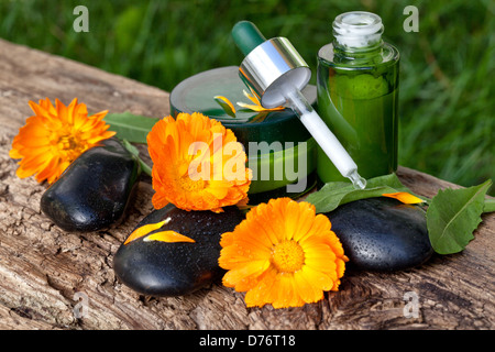 Cura della pelle, crema, siero con arancio fiori di tagete Foto Stock