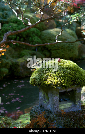 Antica lanterna di pietra nei giardini di villa imperiale Tamozawa in Nikko , Giappone Foto Stock