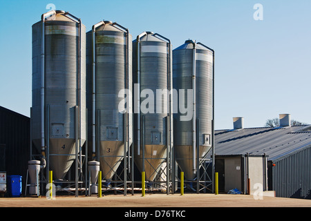 Larga scala commerciale fattoria di pollo con quattro stoccaggio granella silos per lo stoccaggio di mangime di pollame Foto Stock