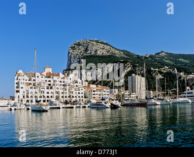 8702. La roccia dalla Marina, Gibilterra, Europa Foto Stock