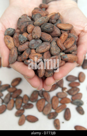 Handewitt, Germania tostati chicchi di cacao in una fabbrica di cioccolato Foto Stock