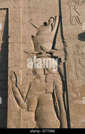 Rilievo del dio falco HATHOR sul Tempio di Horus pilone TEMPIO DI HORUS EDFU EGITTO 09 Gennaio 2013 Foto Stock